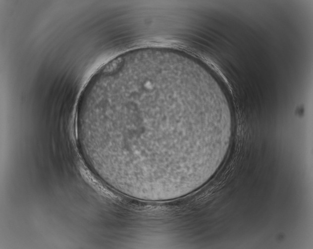 X0000116101080200912140951