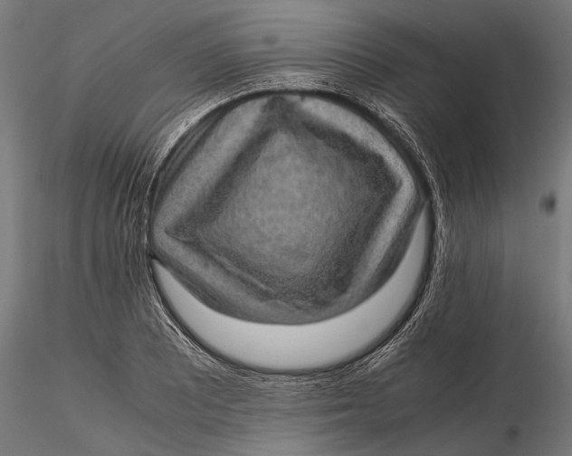 X0000116101081200912140951