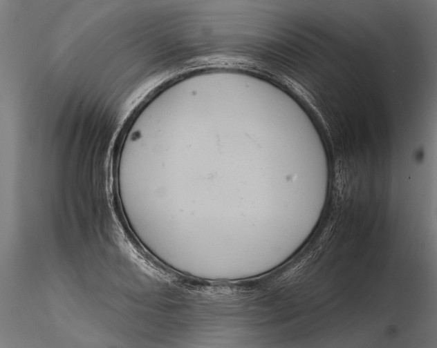 X0000116101082200912140951