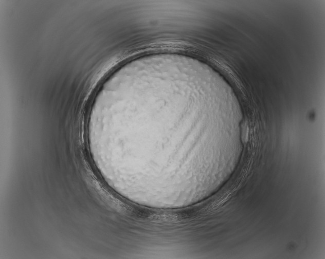 X0000116101083200912140951