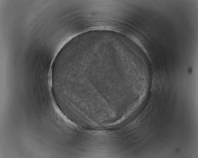 X0000116101084200912140951