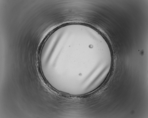 X0000116101085200912140951