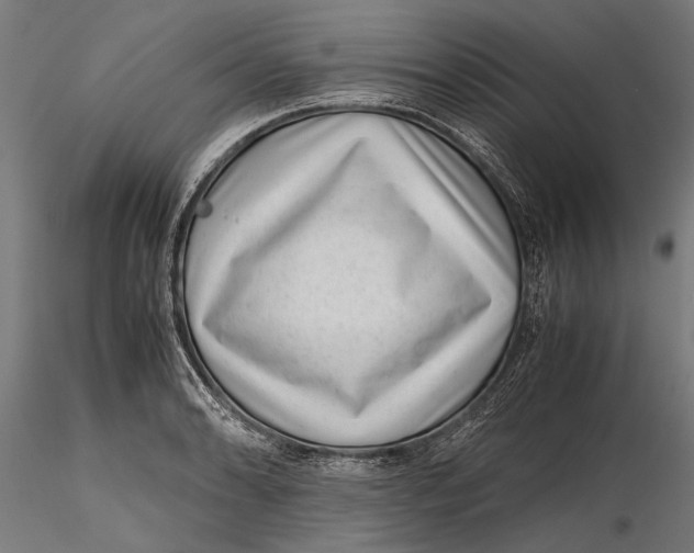 X0000116101086200912140951