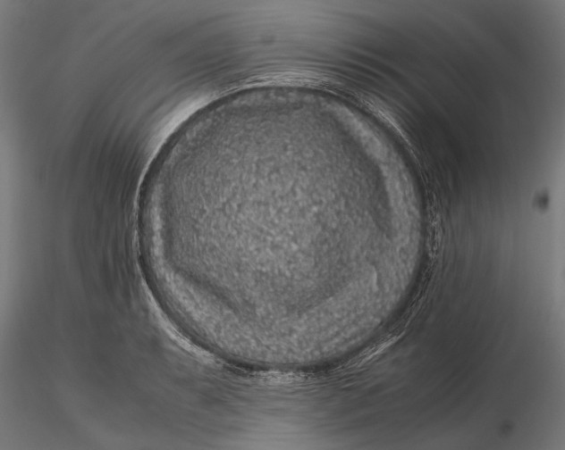 X0000116101087200912140951