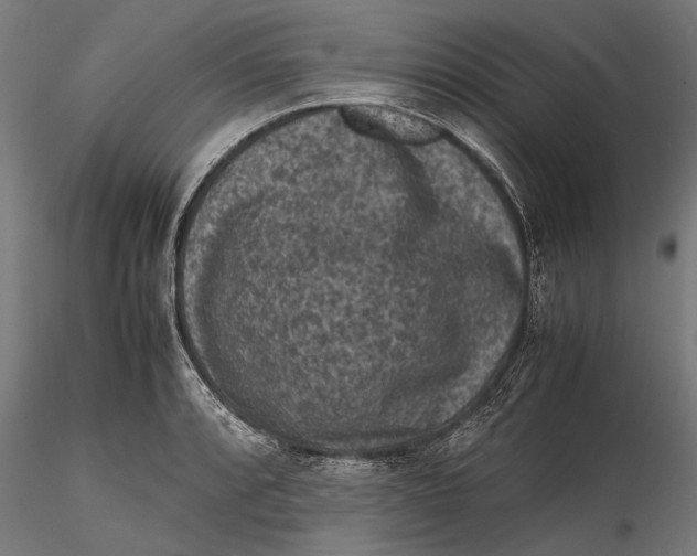 X0000116101088200912140951