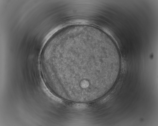 X0000116101090200912140951