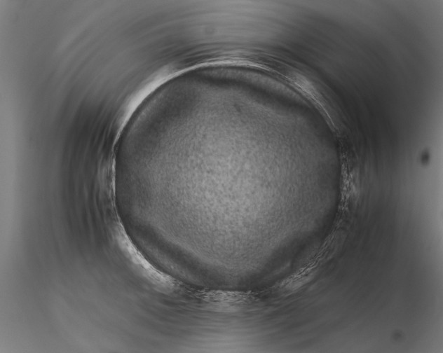 X0000116101092200912140951