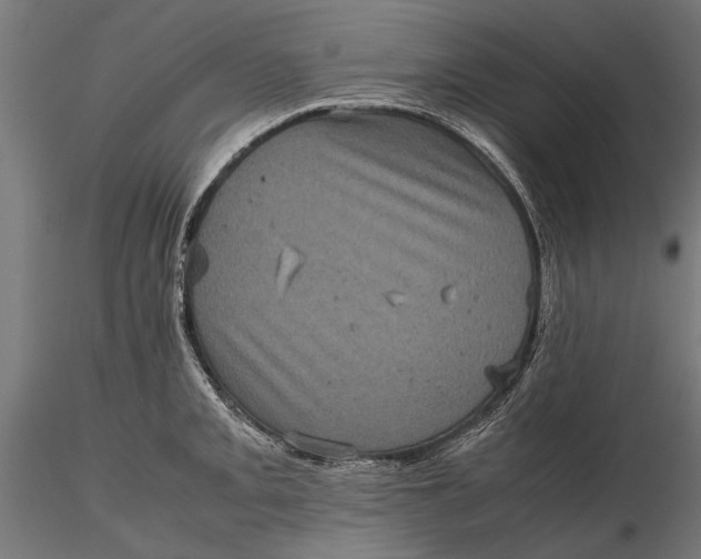 X0000116101093200912140951