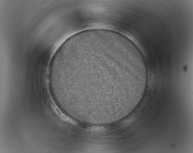 X0000116101094200912140951