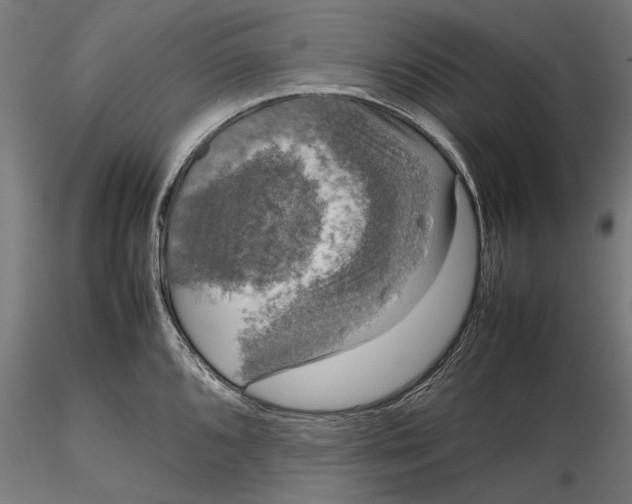 X0000116101096200912140951