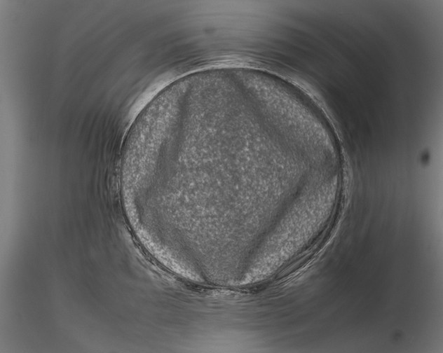 X0000116101097200912140951