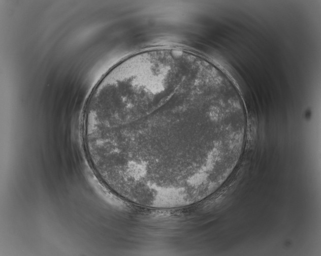 X0000116101098200912140951