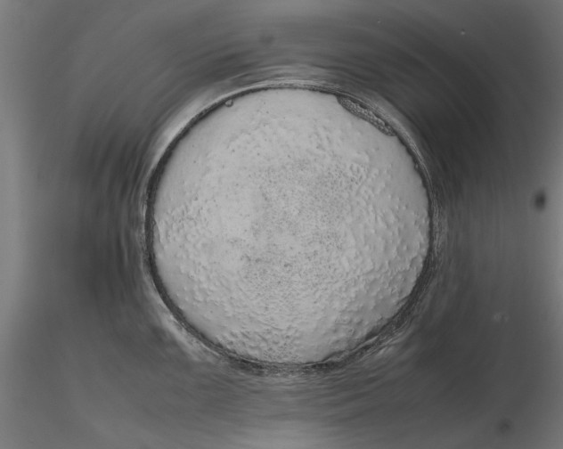 X0000116101099200912140951