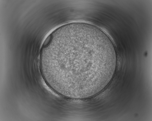 X0000116101100200912140951