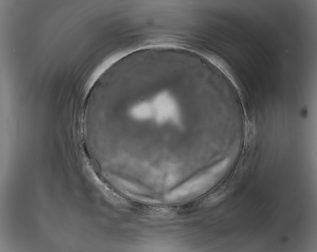 X0000116101101200912140951