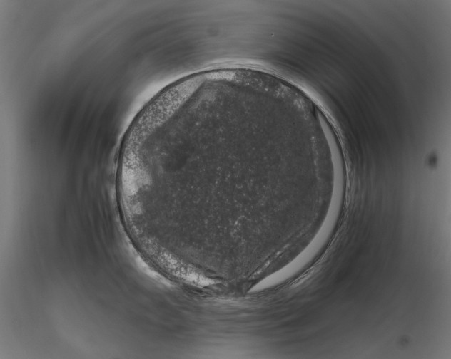 X0000116101102200912140951