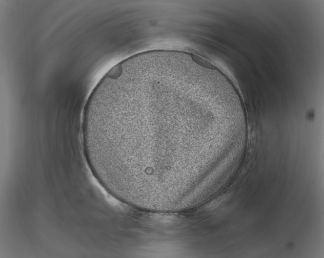 X0000116101103200912140951