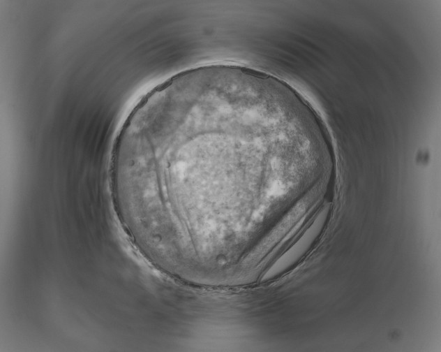 X0000116101104200912140951