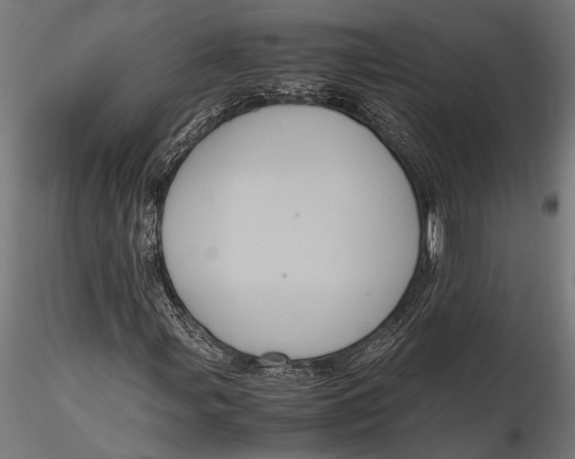 X0000116101107200912140950