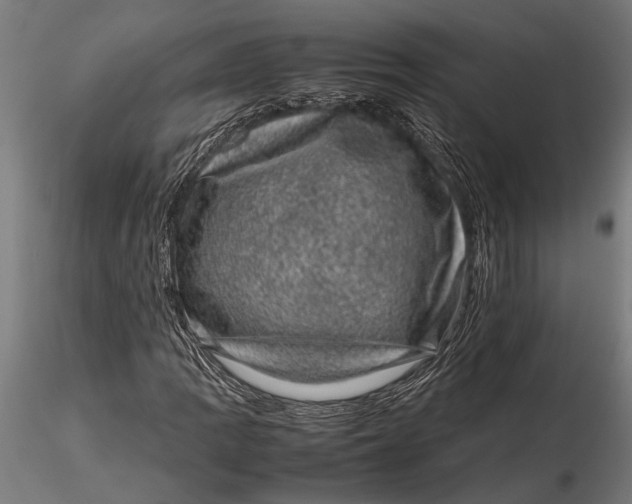 X0000116101109200912140950