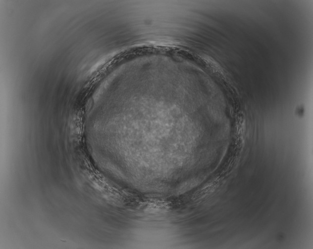 X0000116101110200912140950