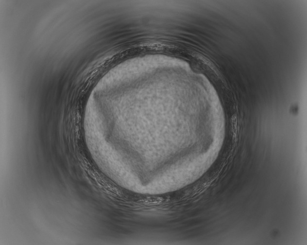 X0000116101111200912140950