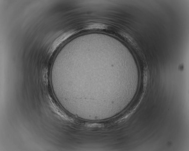 X0000116101113200912140950