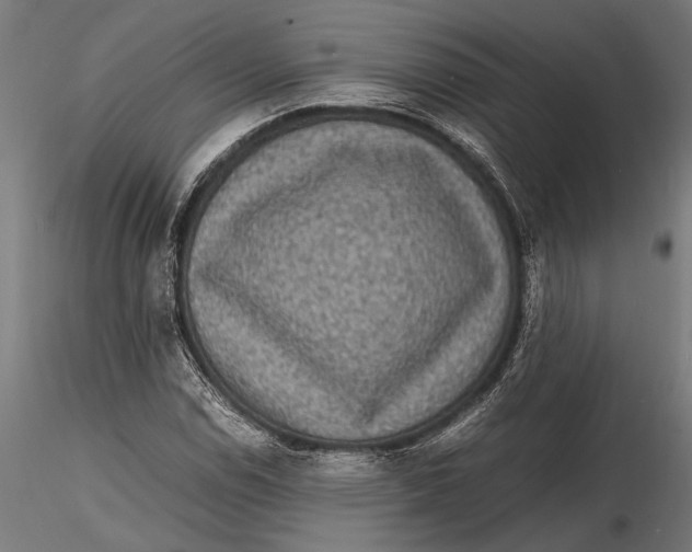 X0000116101114200912140950