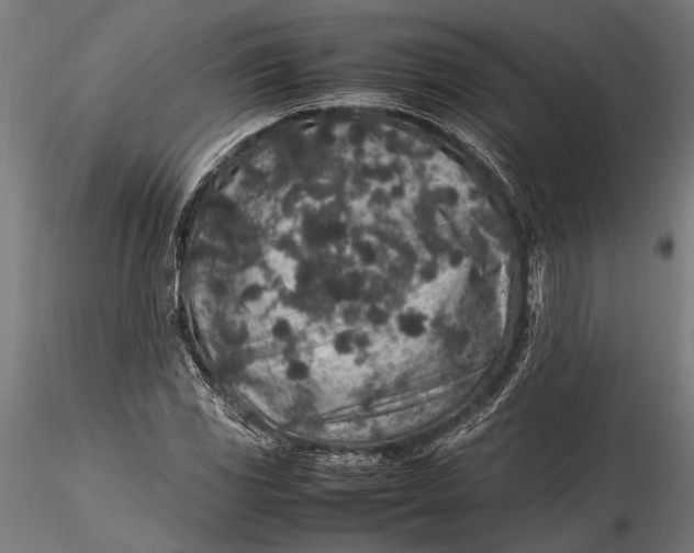 X0000116101117200912140950