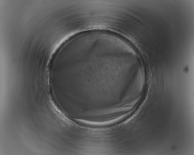 X0000116101118200912140950