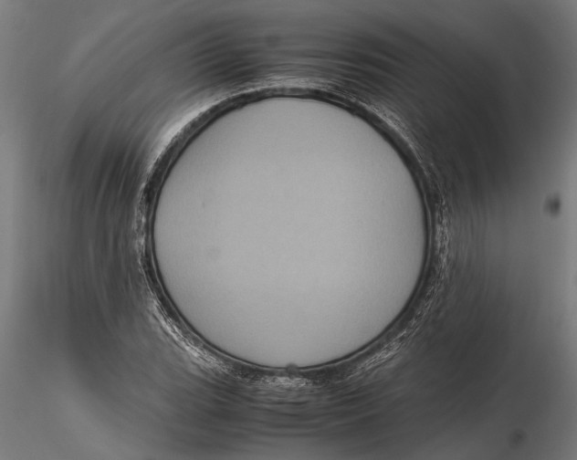 X0000116101119200912140950