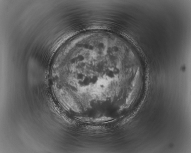 X0000116101121200912140950