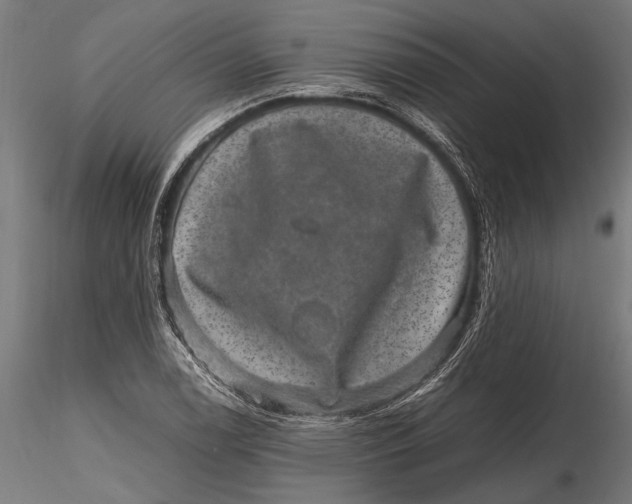 X0000116101122200912140950