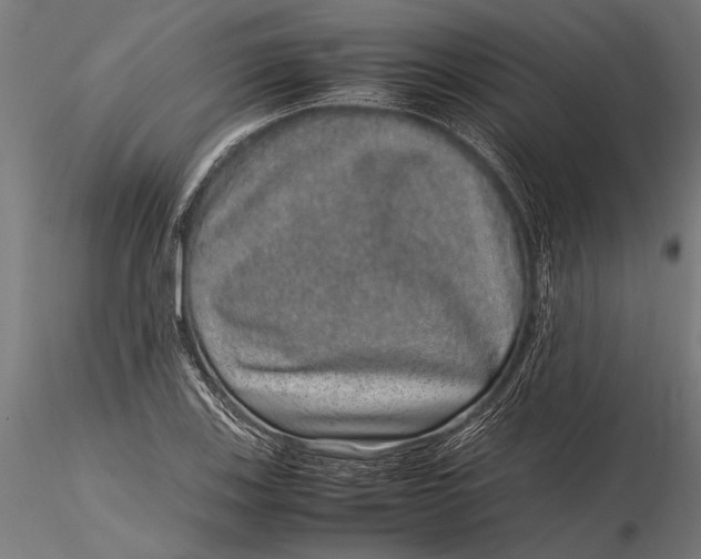 X0000116101123200912140950