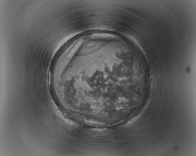 X0000116101125200912140950