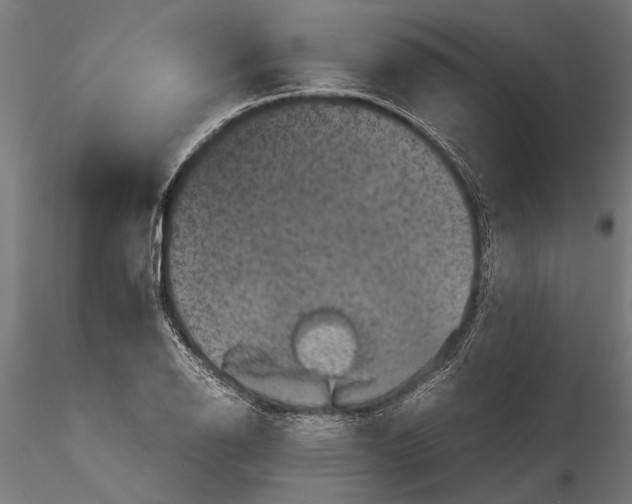 X0000116101126200912140950