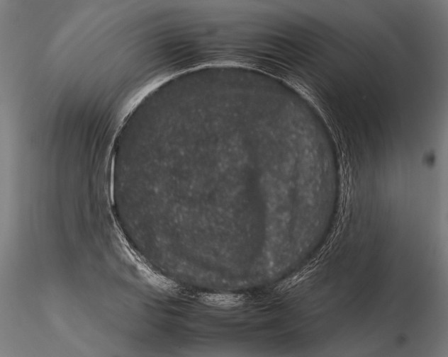 X0000116101127200912140950