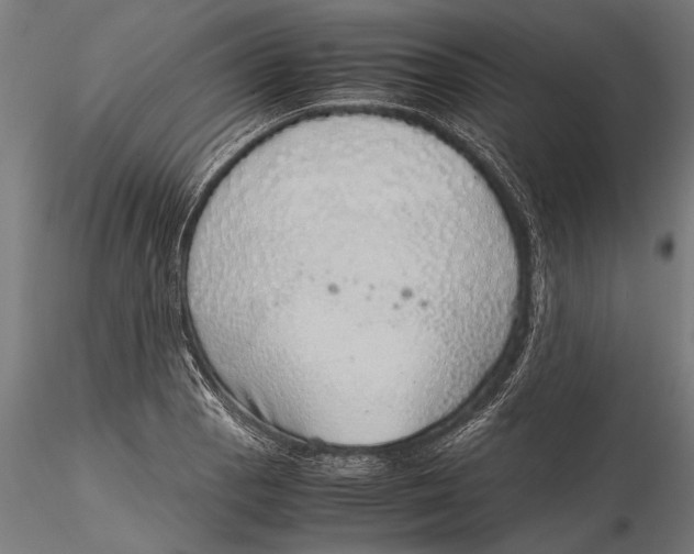 X0000116101129200912140951