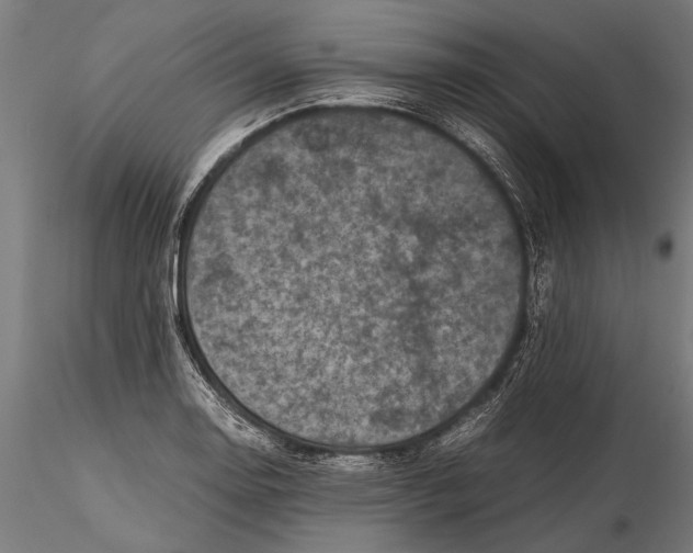 X0000116101130200912140951