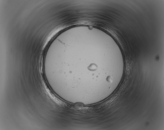 X0000116101131200912140951