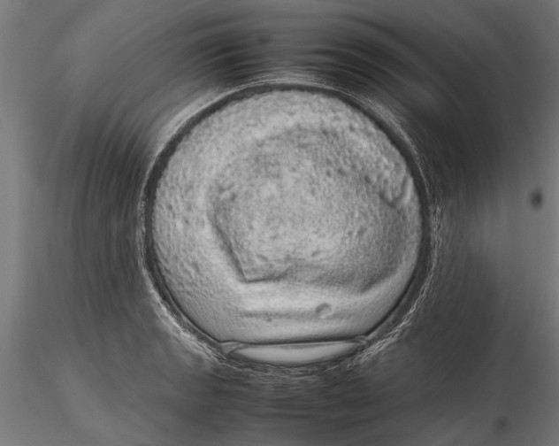 X0000116101133200912140951