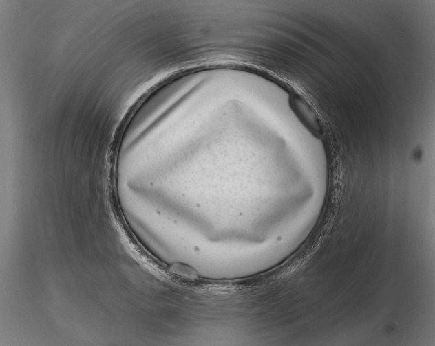 X0000116101134200912140951