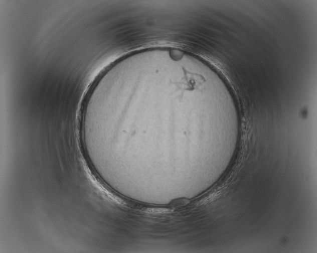 X0000116101135200912140951