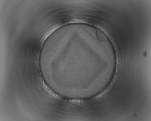 X0000116101137200912140951