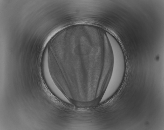 X0000116101138200912140951