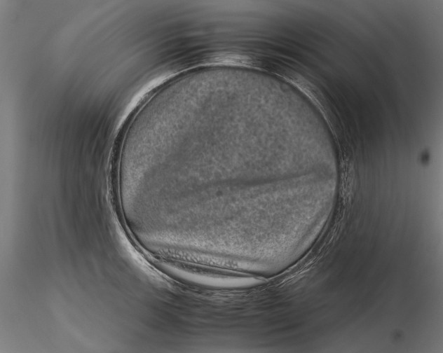 X0000116101139200912140951