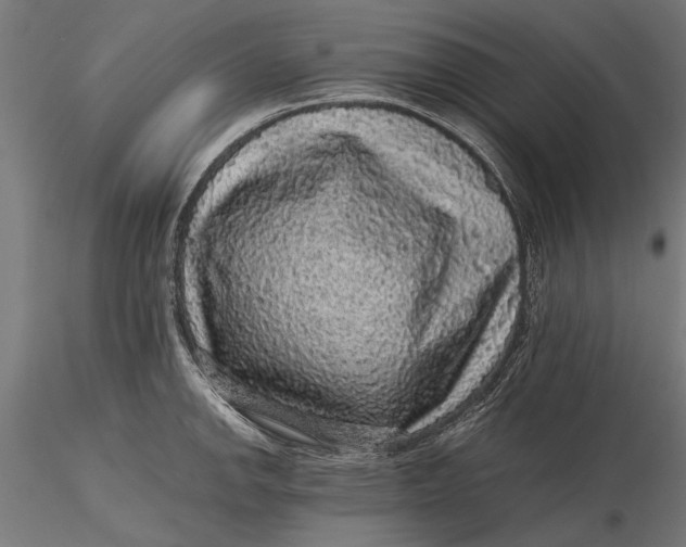 X0000116101142200912140951