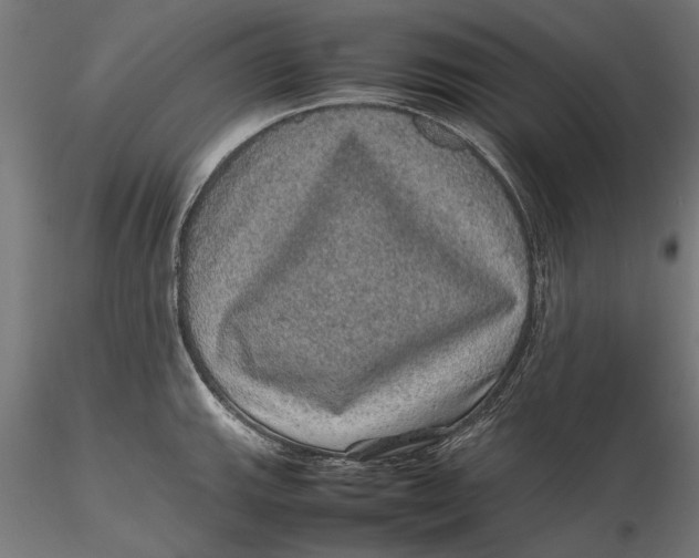 X0000116101143200912140951