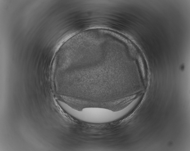 X0000116101145200912140951