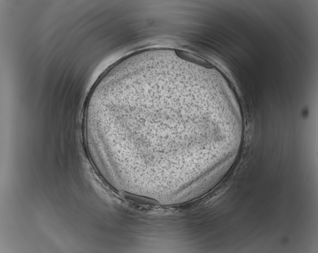 X0000116101146200912140951